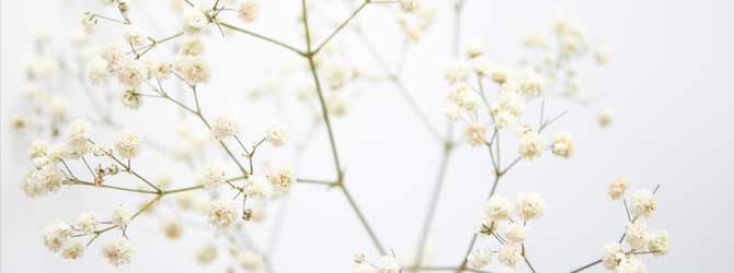 past life regression near me past life regression near me